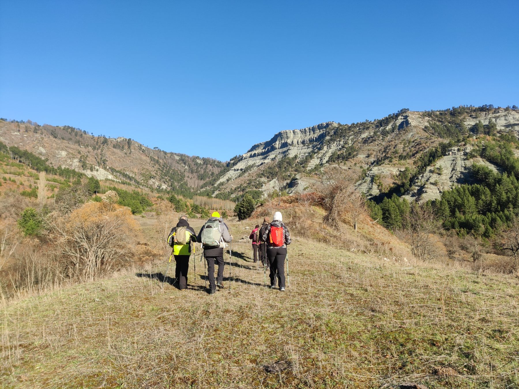 εικόνα_Viber_2024-11-25_09-02-34-374