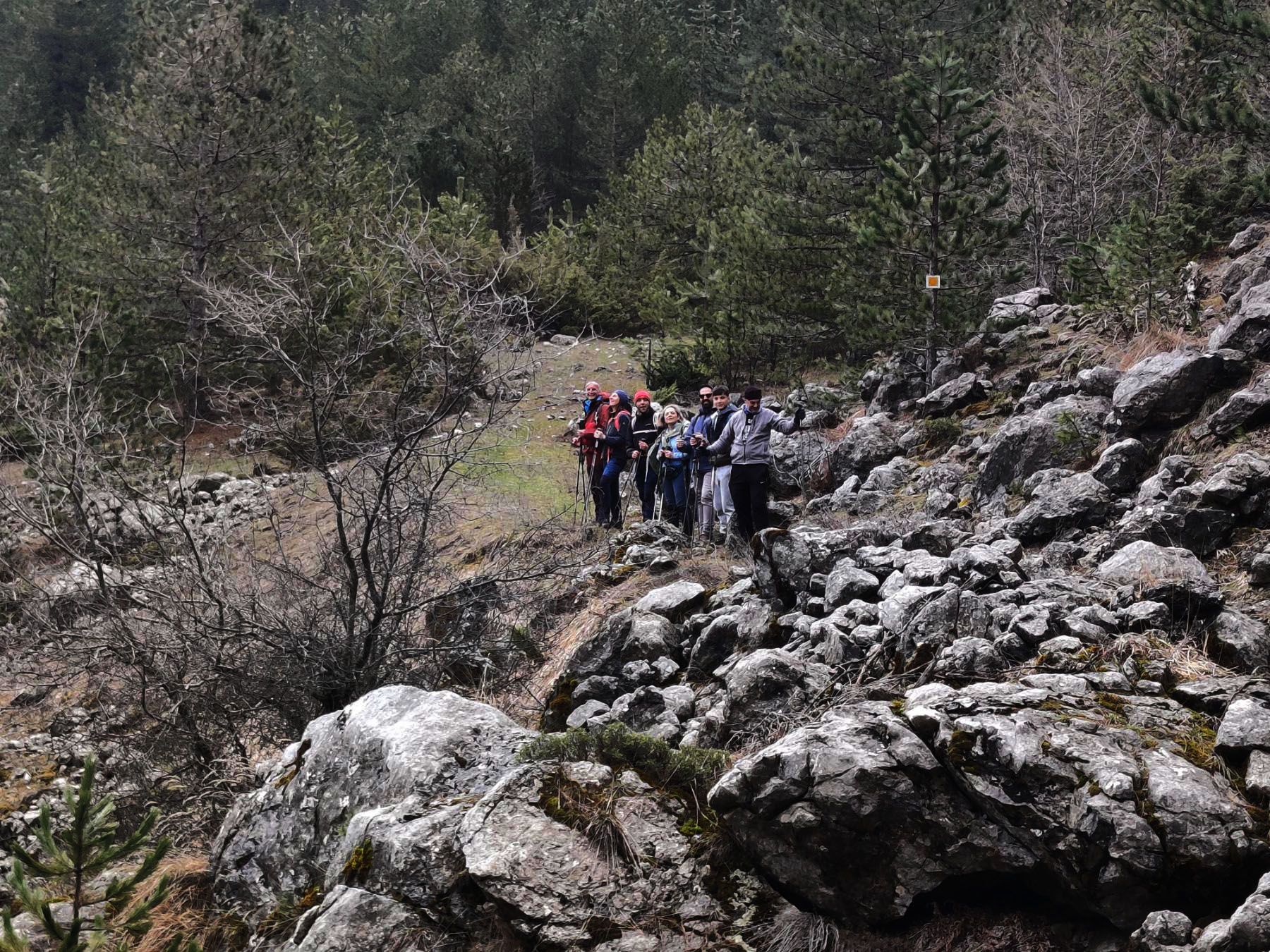 εικόνα_Viber_2025-03-23_20-00-20-140