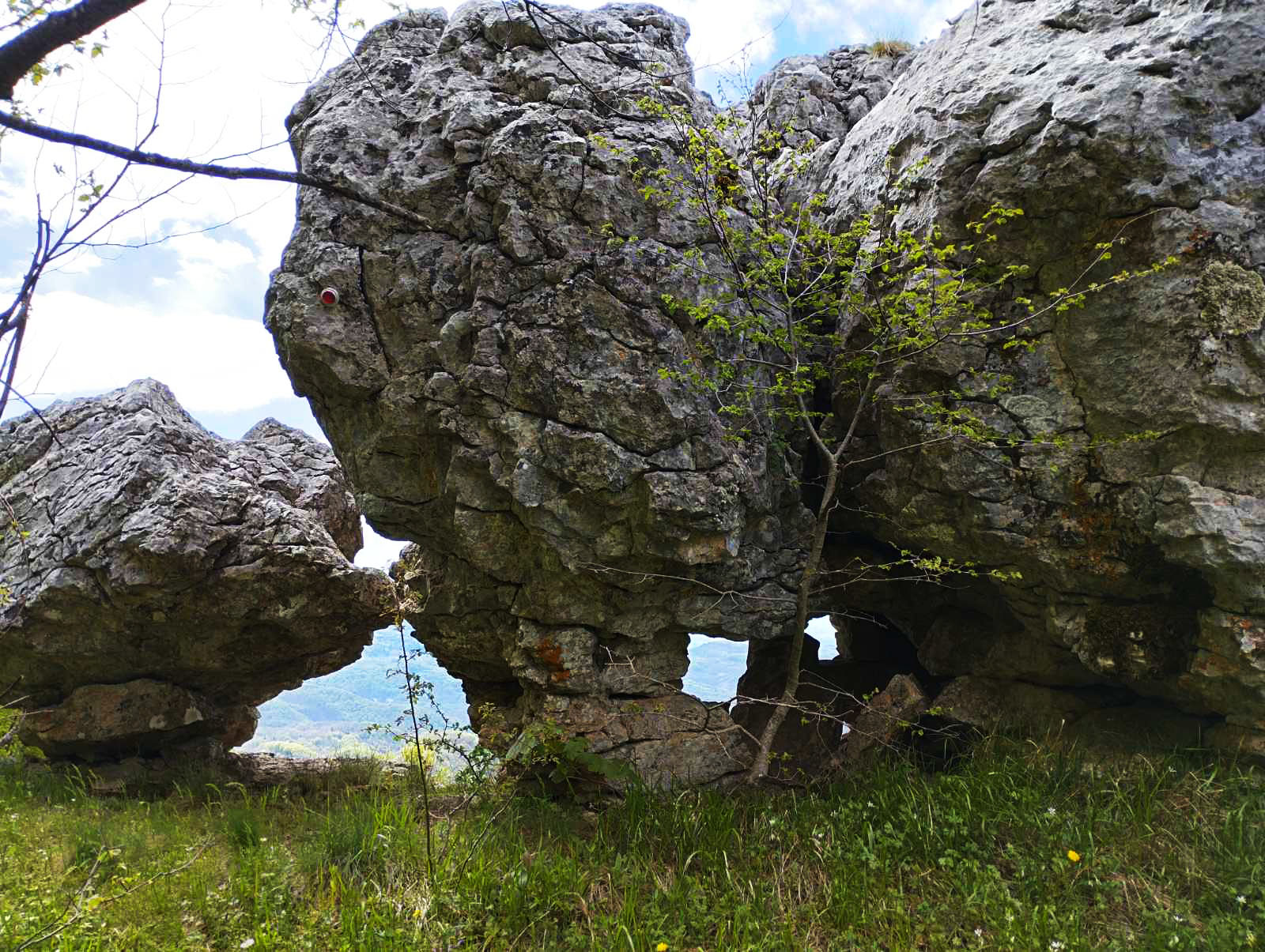 εικόνα_Viber_2025-05-06_18-34-15-882