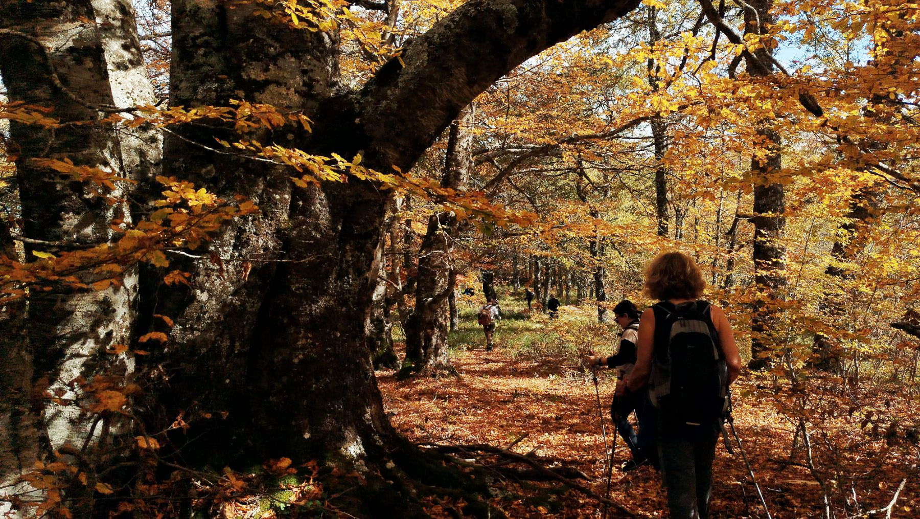 εικόνα_Viber_2025-10-25_22-39-15-574